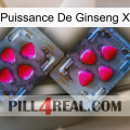 Ginseng Power X 15